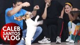 Unforgettable Movie Tour | Dog Tricks with Milo! (Caleb Santos VLOG #9)
