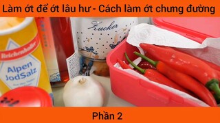 Làm ớt để ớt lâu hư- Cách làm ớt chưng đường #2