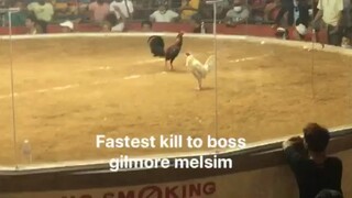 fastest kill gilmore