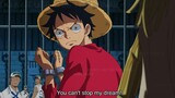 Luffy is Captured by Kizaru after Facing the Admiral - One Piece
