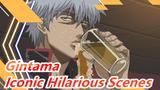[Gintama] Iconic Hilarious Scenes, Can You Bear It? Just Laugh