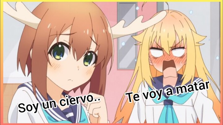 ♦La Chica Ciervo Tocapelotas 🦌/ ShikaNoko Nokonoko Koshitantan Resumen Capítulo 1