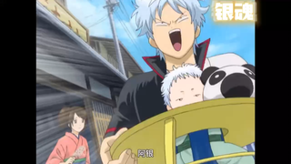 Gintoki~Ah wonderful~Sarutobi-san’s three hilarious dialogues