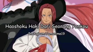 jadi ini haki dari seorang yonko😈