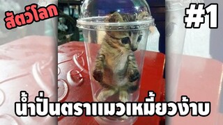 รวมคลิปตลกๆ : นี่มัน…น้ำปั่นสูตรพิเศษ!!