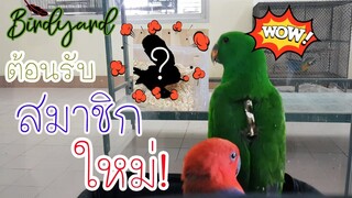 EP.28ต้อนรับสมาชิกใหม่!! + พาเที่ยวชมสวนปาล์มฟาร์มนก ค่าาา