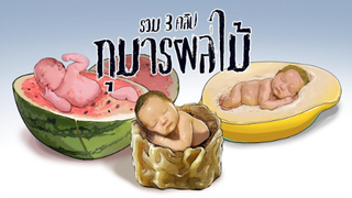 กุมารผลไม้ l รวม3คลิป