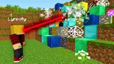Minecraft but Everywhere we Look turns into a RANDOM BLOCK...
