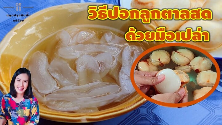 วิธีปอกเปลือกลูกตาลสดง่ายๆ ด้วยมือเปล่า เคล็ดลับก้นครัว | ปลูกปรุงกินกับแม่ต้อม