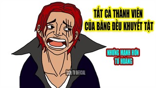 ONE PIECE: Hội người khuyết tật thành lập băng hải tặc mới