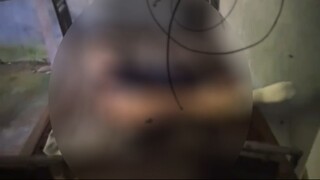 D4RK W3B 的奇异视频