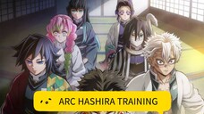 Arc HASHIRA Training!!!