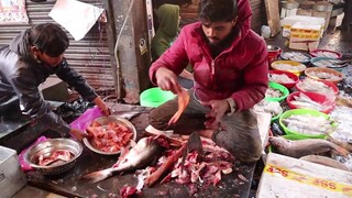 MOTONG IKAN DI INDIA