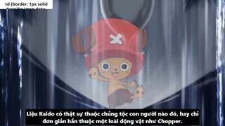 Sức Mạnh Thật Sự Của Kaido Luffy vs Bigmom Tộc Mink Hóa Sulong I One Piece Chương 987_ 1