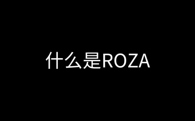 【ROZA】点击即看小学生组合名场面