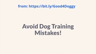 Avoid Dog Training Mistakes   The Ultimate Guide for Pet Owners!