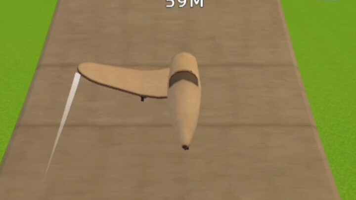 Details Only the left wing can fly