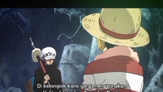 Tambah satu, Jinbe😎