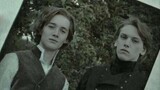 [Harry Potter] When Their Parents Were Young