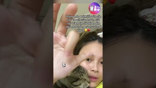 Tên mèo bất hiếu hay nịnh bợ 😂 #Shorts #Yeulu #Yeuluofficial