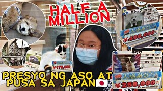 PRESYO NG ASO AT PUSA SA JAPAN 🇯🇵 GRABE ANG MAHAL ! *PRICE LIST* (HALF A MILLION)