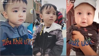 "Cục Bột Nhỏ" nhà ai đây??cute quá mức rồi đó nha, muốn mang về nhà nuôi quá đi!!!『Tiktok』