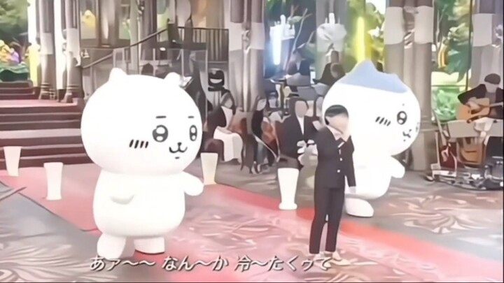 Voice actor Hachi's singing voice is so cute