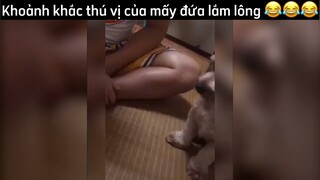 Khoảnh khắc thú vị của mấy đứa lắm lông