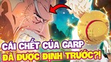 SỰ HI SINH CỦA GARP?! | GARP CÓ THỂ SẼ CHẾT KHI RA KHƠI?!