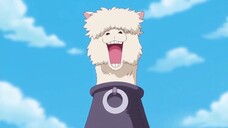 One Piece Alpacacino Ushi Ushi no Mi model Alpaca  Devil Fruit Abilities