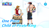 [One Piece] The Child of Pirate King Is so Kind_1