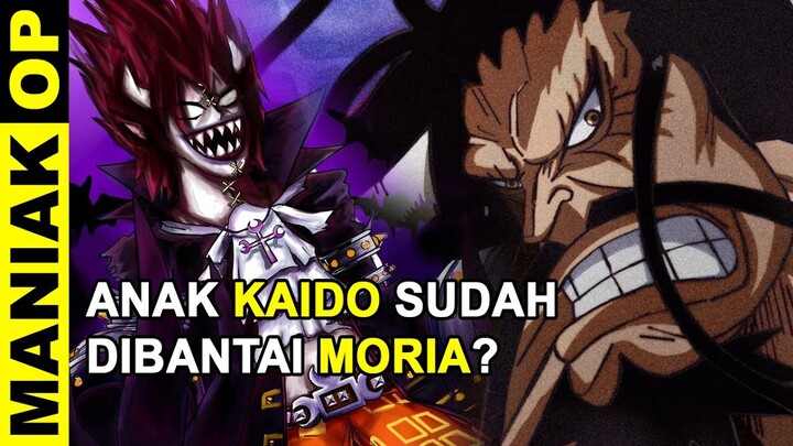 AKHIRNYA TERUNGKAP.. INILAH YANG TERJADI SELAMA PERTARUNGAN GECKO MORIA DENGAN KAIDO