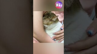 Sao bố bảo con VÔ DỤNG 🥺 #Shorts #Yeulu #Yeuluofficial