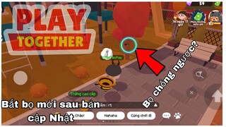 BẮT BỌ SAU BẢN CẬP NHẬT CÓ GÌ HOT ?| PLAY TOGETHER