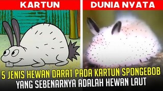 5 Jenis Hewan Darat pada kartun SpongeBob yang sebenarnya adalah Hewan Laut | #spongebobpedia - 78