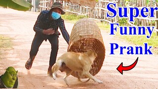 Top Prank Handmade Basket vs Prank Sleep Dog, Very Funny Try not to Laugh 2021