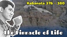 The Pinnacle of Life / Kabanata 376 - 380