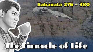 The Pinnacle of Life / Kabanata 376 - 380