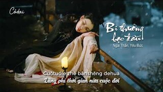 [Vietsub + Pinyin] Bi thương bạc đầu - Ngải Thần, Yêu Bức / 悲白发 - 艾辰, 妖蝠