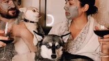We were wrong. This is the perfect tiktok.    theperfecttiktok dogs cutedogs