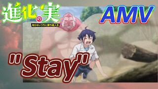 [The Fruit of Evolution]AMV |  "Stay"