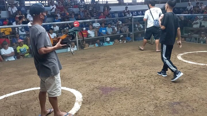 SMSCA 2hits ulutan first fight Melsims Black