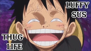 luffy sus 😂😂😂