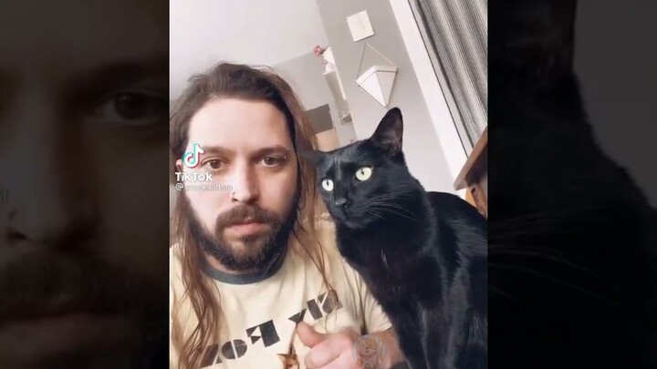 Funniest viral Cat and Doggo on TikTok, Don't try again to hold back laughter