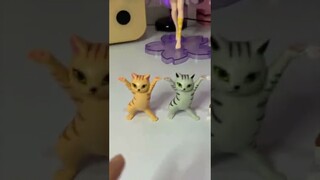 KUCING-KUCING RANDOM INI BISA DISURUH MENGANGKAT APAPUN ! 🐈