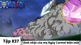 One Piece Tập 837 | Sinh nhật của mẹ Ngày Carmel biến mất | Đảo Hải Tặc Tóm Tắt Anime