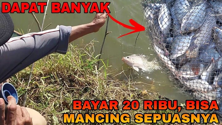 UNTUNG BANYAK !! CUKUP BAYAR 15K MANCING SEPUASNYA !! (DAPAT BANYAK IKAN BABON)