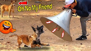 Big Horn Prank Sleeping Dog Must Watch Funny Dog