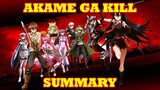 Akame ga Kill Summarised in 14 MINUTES