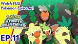 Pokémon Ultimate Journeys: The Series | EP11 A One-Stick Wonder!